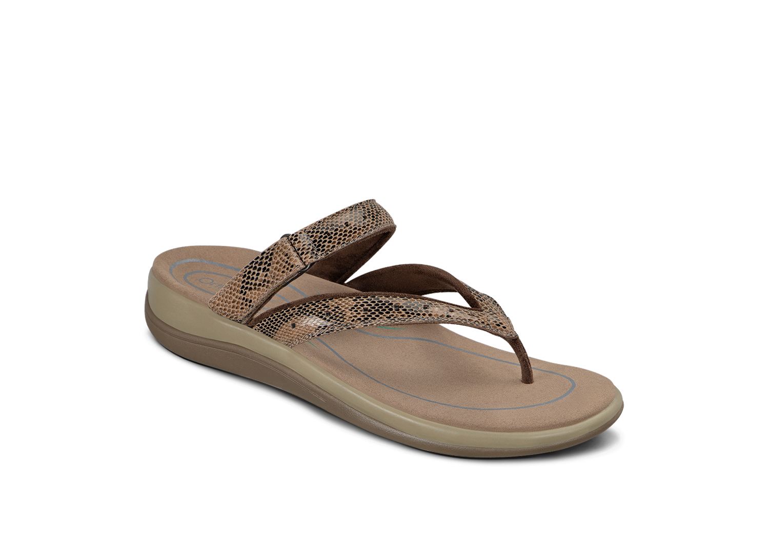 978 Gaya Brown